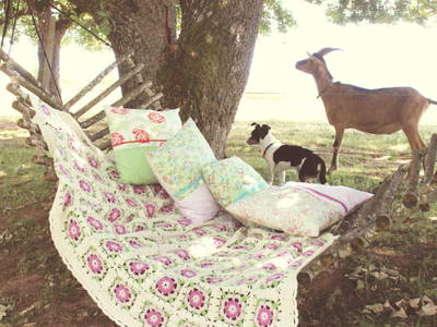 Bild 22 aus  Backhaus Grüntal