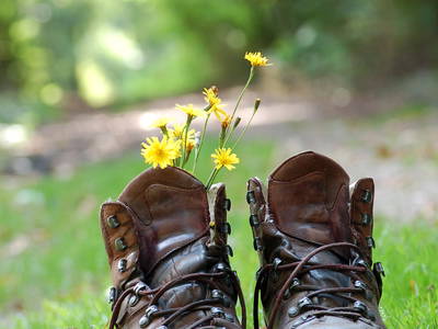 Bild 9 aus  Biohof Grafel - ein Ort, der verbindet