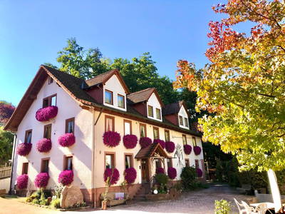 Bild 20 aus  Reiterhof Obere Mühle