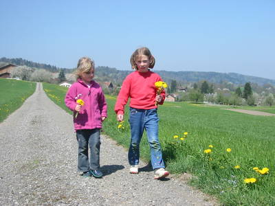 Bild 29 aus  Familien-Bauernhofurlaub im Herzen der Schweiz