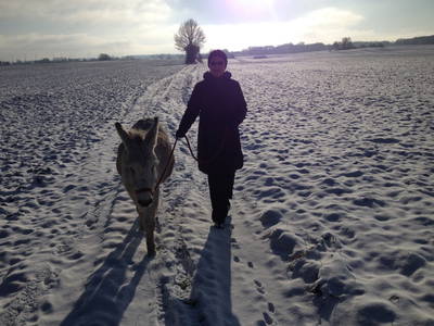 Bild 61 aus  LandSelection Rüsterhof