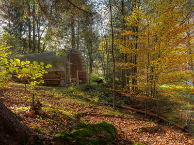 Bild 39 aus  Grashöfle