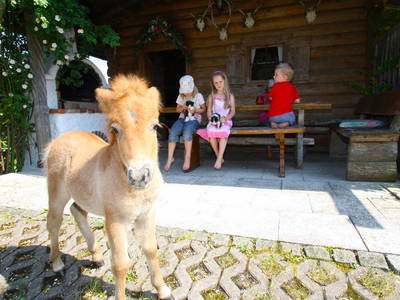 Bild 11 aus  Herbstbauernhof