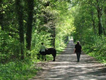 Bild 16 aus  Eichenhof