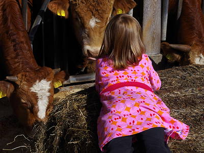 Bild 26 aus  Ferienhof Larrieder Mühle