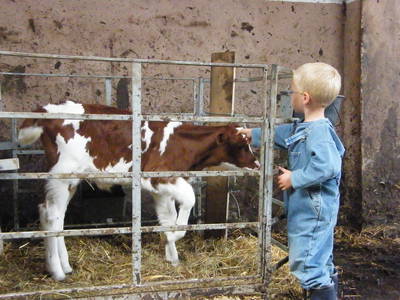 Bild 9 aus  Breuer-Hof