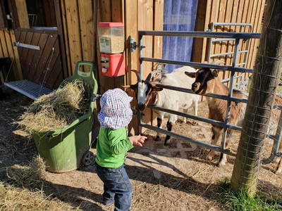 Bild 38 aus  Ferienhof Heuel