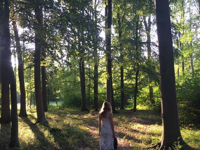 Bild 29 aus  Dreiseithof Schmadebeck