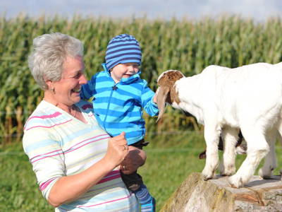 Bild 20 aus  Lindenhof