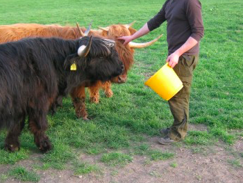 Bild 9 aus  Ferienwohnungen Strobel Eichstegen