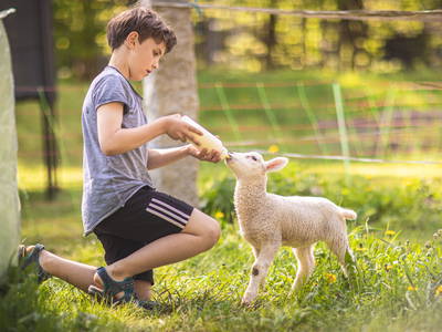 Bild 8 aus  Körnermühle