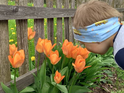 Bild 24 aus  Kreuzplon