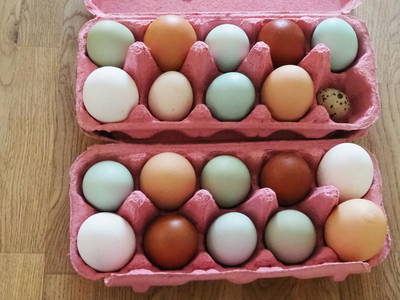 Bild 24 aus  Hinrich's Ostsee Bauernhof