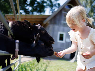 Bild 16 aus  Ferienhof Sonnengarten