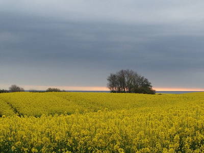 Bild 16 aus  OstseeBauernhof Schönhagen