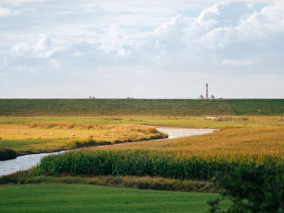 Bild 17 aus  "Reet" Landhaus Hartwig bei St. Peter-Ordings Sandstrand