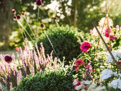 Die Blumenpracht vor dem Haus