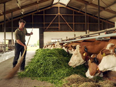 Bild 7 aus  Springerhof