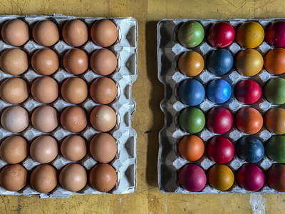 Bild 46 aus  LandSelection Gutshof Käppeler