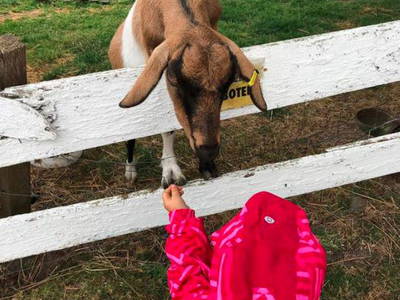 Bild 2 aus  Hof Janssen