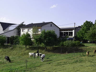 Bild 2 aus  Schmiedshof