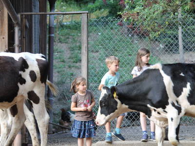 Bild 17 aus  Vogtbenedikthof im Schwarzwald