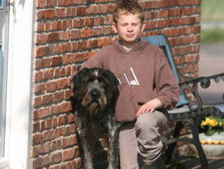 Bild 10 aus  Ulfers Touristik