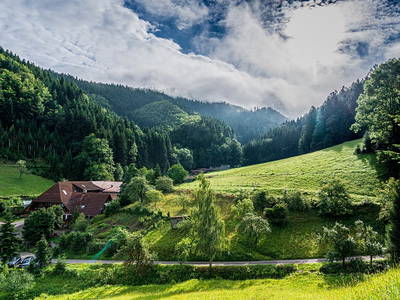 Bild 3 aus  Friedershof