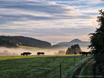 Bild 21 aus  Landgasthof Rademacher