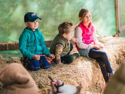 Bild 35 aus  Ferienhof Groth/ Hof Herzleuchten