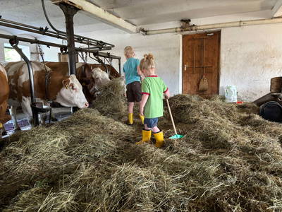 Bild 25 aus  Rummelbartlhof