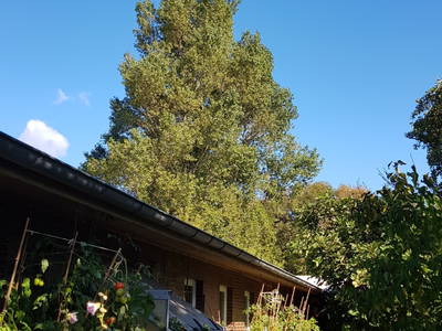 Bild 13 aus  WindWeiteWattenmeer Ferien in Tossens