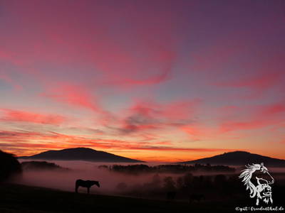 Bild 8 aus  Gut Friedenthal