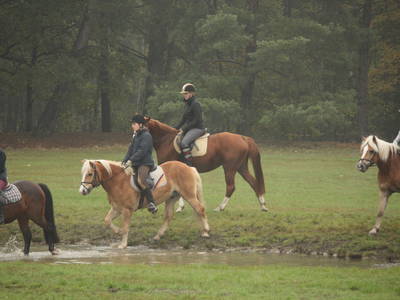 Bild 12 aus  Ferienhof Klaucke