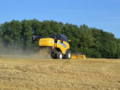 Bild 26 aus  Ferienhof Schlünzen