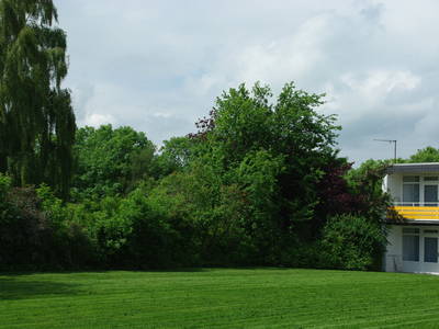 Bild 8 aus  Ferienhof Kleingarn