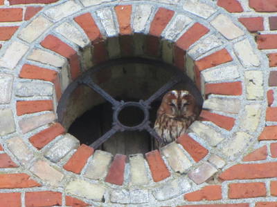 Bild 13 aus  Ferienhof  Moos