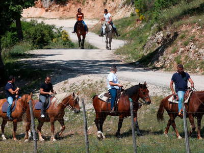 Bild 41 aus  Agriturismo Bartoli