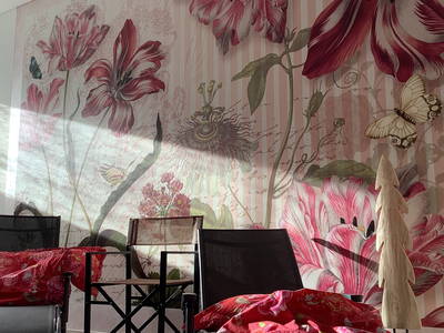 Bild 4 aus  Goldener Hahn - Hyggeliges Aparthotel mit Frühstücksbuffet, Pool & Sauna