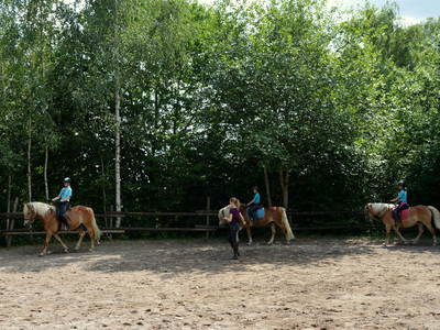 Bild 5 aus  Sternenhof