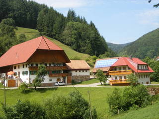 Peterhof aus Fischerbach