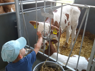 Bild 6 aus  Kainzenhof