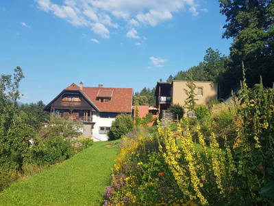Bild 3 aus  Forstbauer am Millstätter Hochplateau