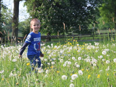 Bild 13 aus  Hof Muhs