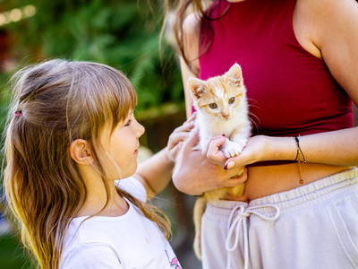 Bild 3 aus  Ferienhof Wolschendorf