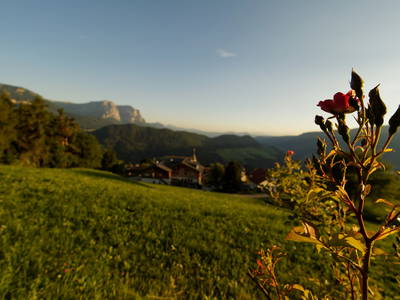 Bild 14 aus  Hatzeshof