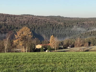 Bild 7 aus  Hof Altasilva - Rosenhof