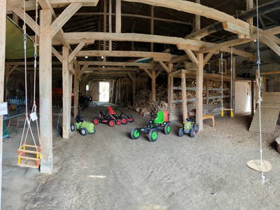 Bild 17 aus  Luftsnapper & Fellnasen