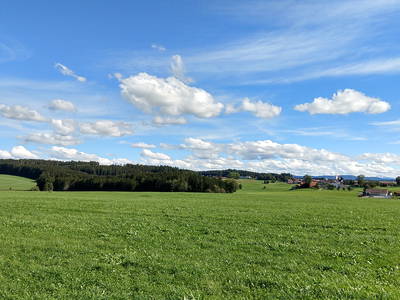 Die Natur vor unserer Haustüre