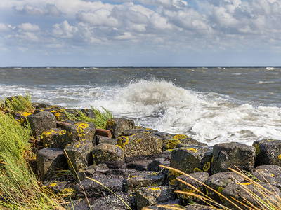 Bild 11 aus  Kastanienhof